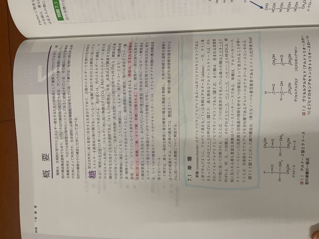 マッキー生化学（第6版）分子から解き明かす生命