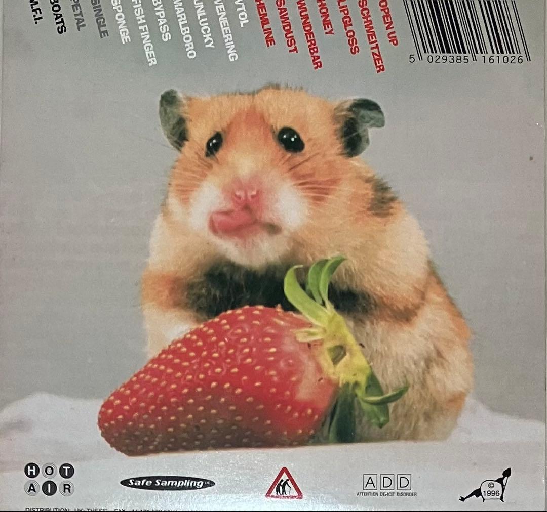洋楽 Stock, Hausen & Walkman - Organ