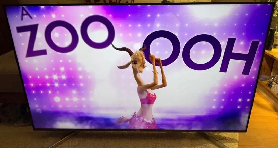 SONY◆4K液晶テレビ◆55インチ◆BRAVIA◆KJ-55X9000F