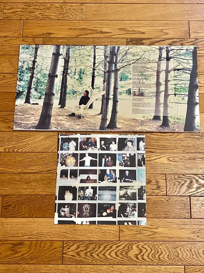 佐野元春 & THE HOBO KING BAND レコード【特価】中古