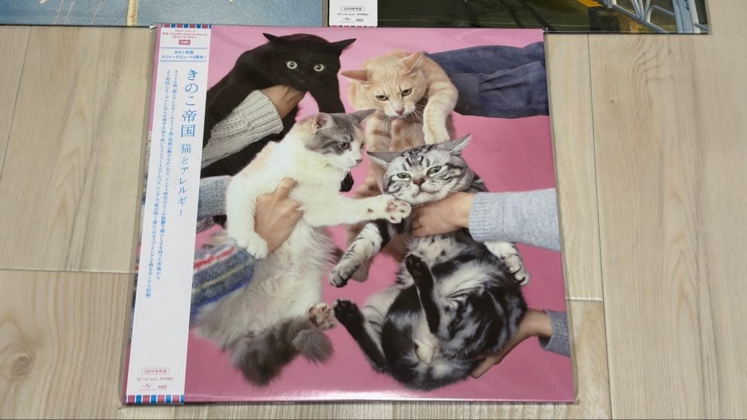 【新品未開封】きのこ帝国 アナログレコード 3枚セット（完全限定生産）　特典付き