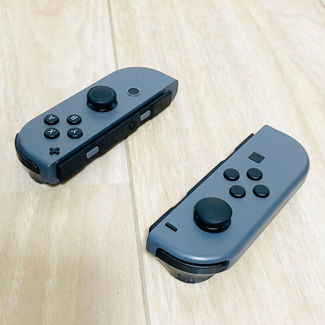 m*g様 Nintendo Switch ニンテンドースイッチ グレー 本体 +