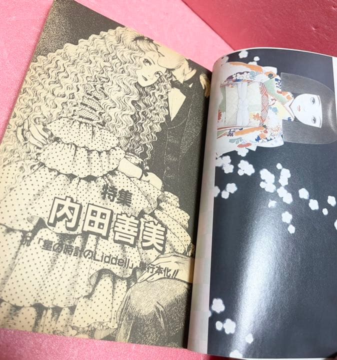 増刊ぱふ　Vol２　1986年・特集・内田善美