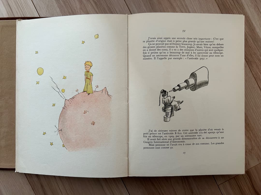 LIDIS 版　Le Petit Prince サン＝テグジュペリ　洋書
