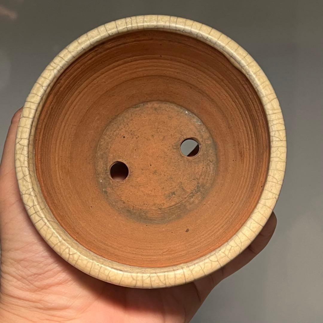 678.景仙 白貫入釉丸鉢 盆栽鉢 植木鉢 11*6cm