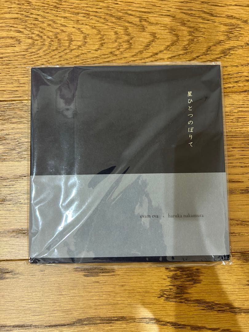 haruka nakamura 星ひとつのぼりて