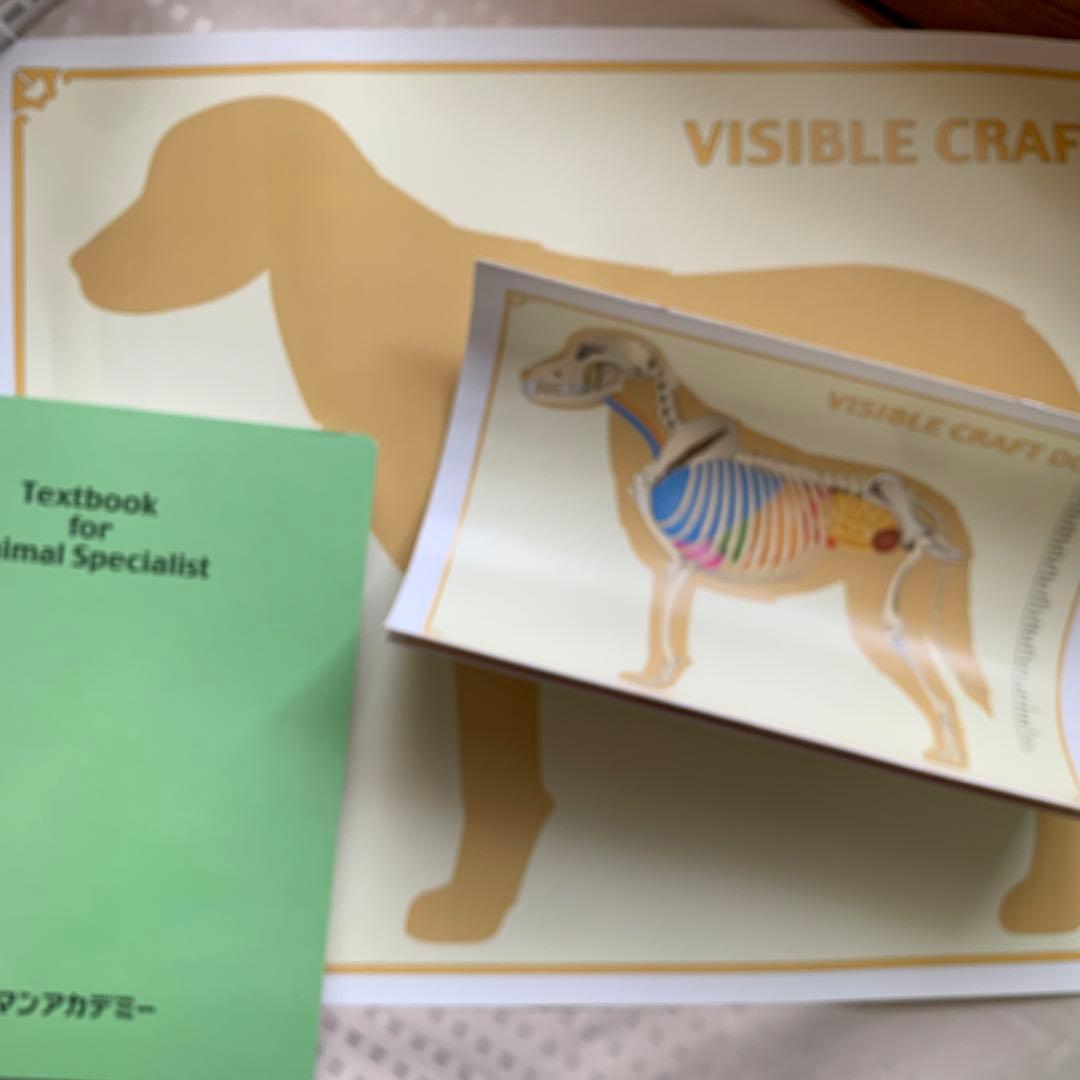 ペットビジネスマイスター講座教材の一部(犬偏)