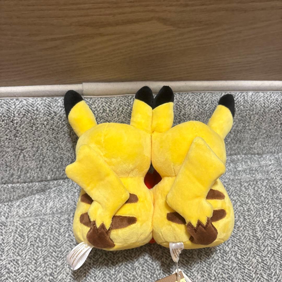 絶版 Monthly Pair Pikachu ぬいぐるみ 2月 タグ付き
