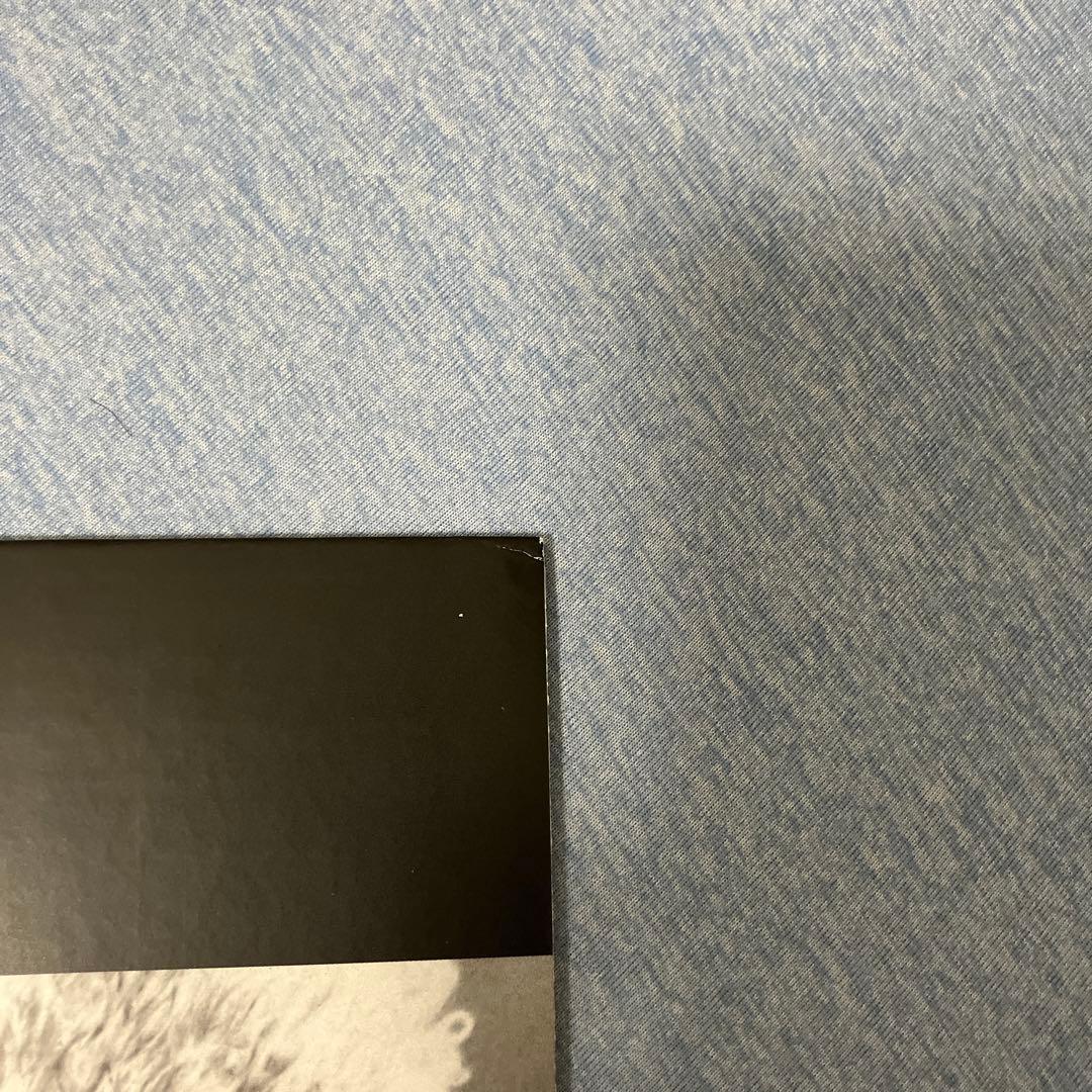 Nirvana Bleach 帯付き LP レコード シルヴァーヴァイナル 美品