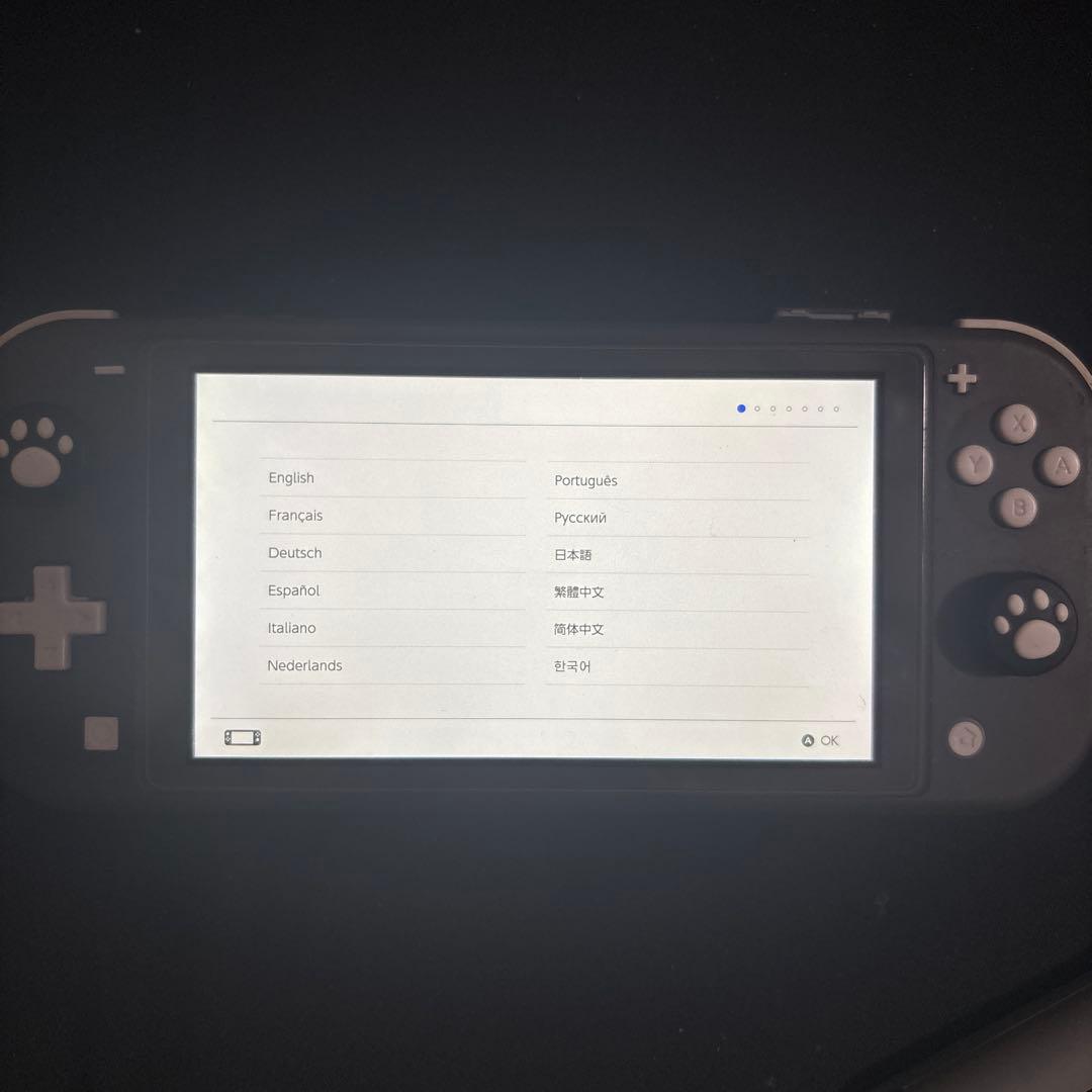 Nintendo Switch Lite グレー コントローラーグリップ付き