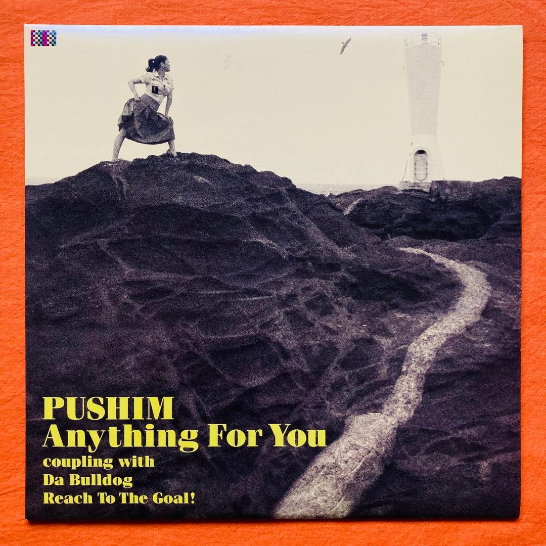 10” PUSHIM 2枚 ANYTHING FOR YOU/GREETINGS