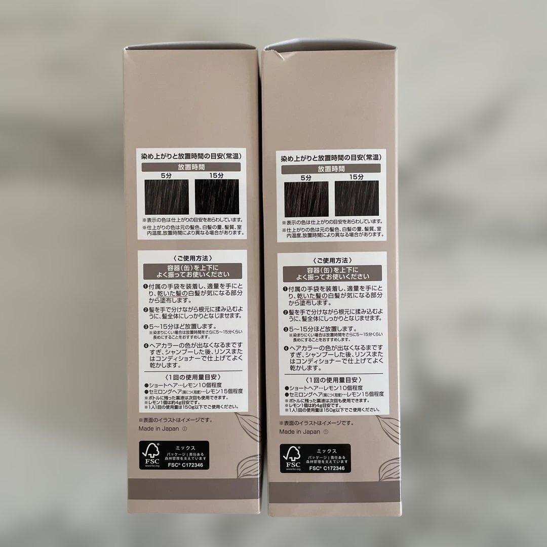 ヘアボーテ エクラ ボタニカルエアカラーフォーム ダークブラウン2本セット