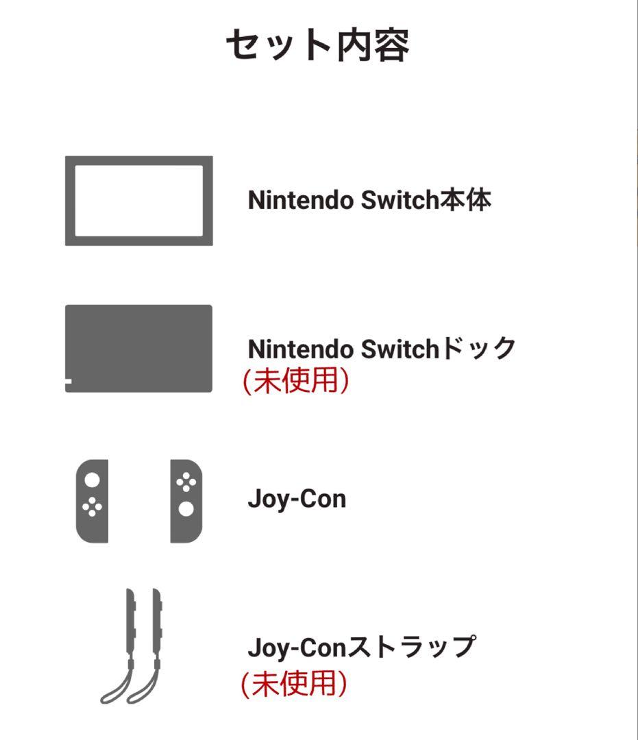 【ケース付き】Nintendo Switch 本体
