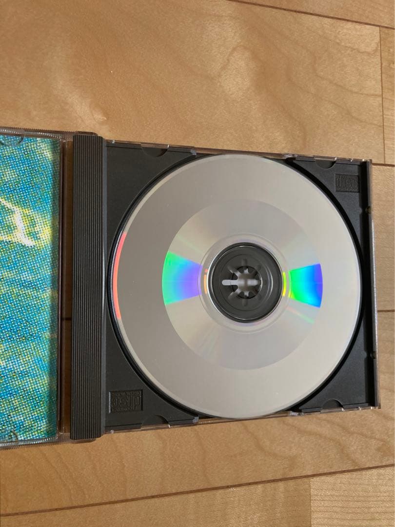 NIRVANA HORMOANING ホルモウニング　廃盤