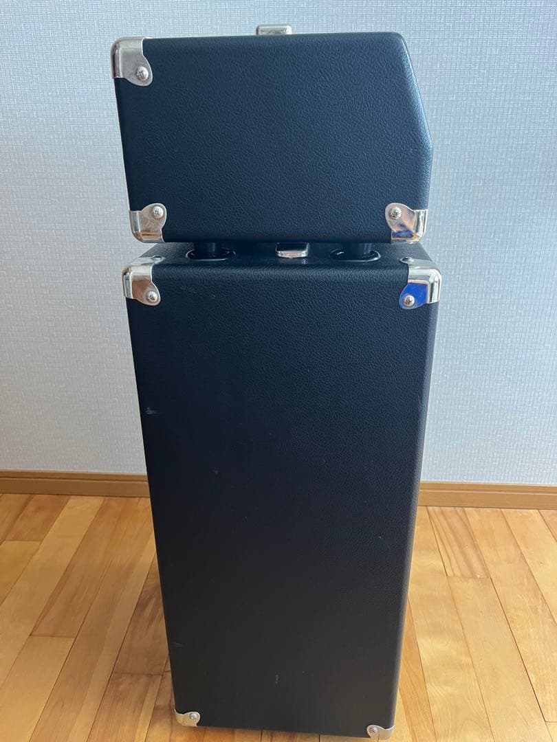 アンペグ ampeg MICRO-VR / SVT210AV セット