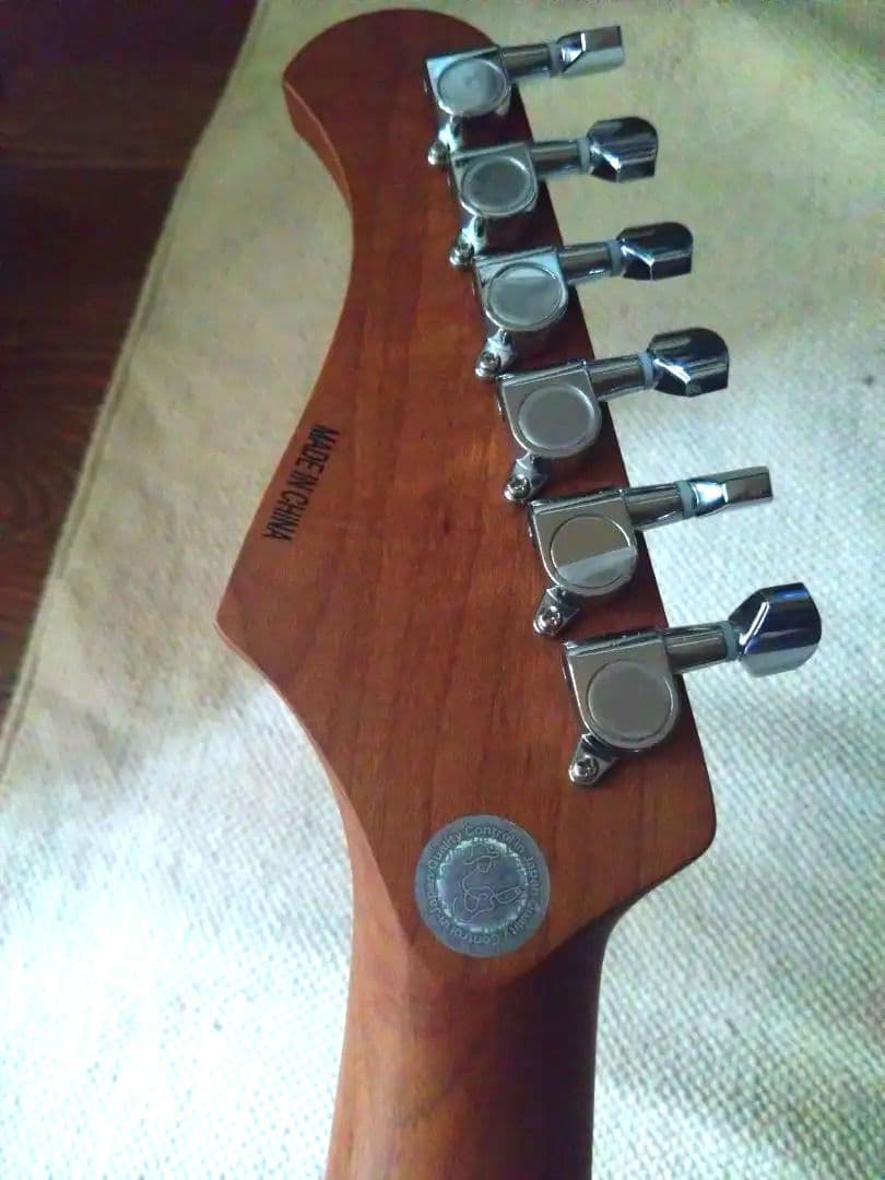 Bacchus GS-2DX RSM/R ステンレスフレット 美品