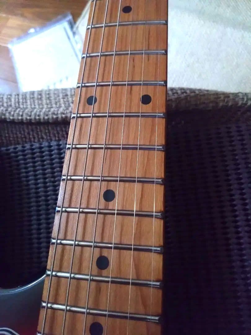 Bacchus GS-2DX RSM/R ステンレスフレット 美品