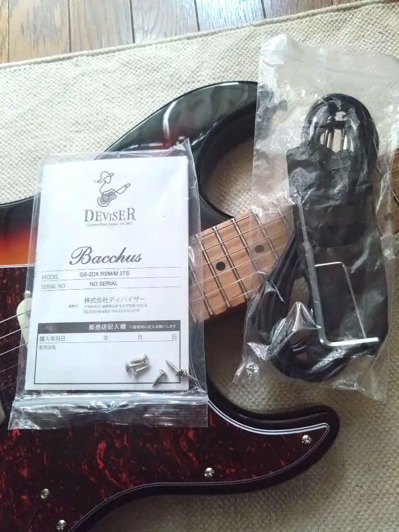 Bacchus GS-2DX RSM/R ステンレスフレット 美品