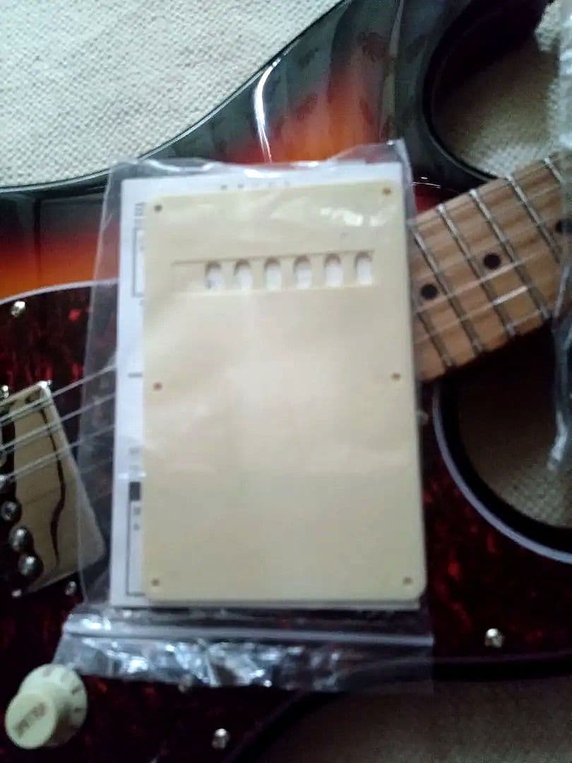 Bacchus GS-2DX RSM/R ステンレスフレット 美品