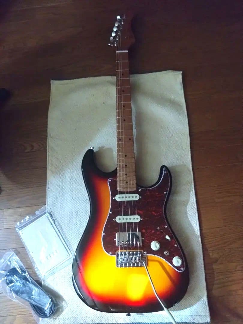 Bacchus GS-2DX RSM/R ステンレスフレット 美品