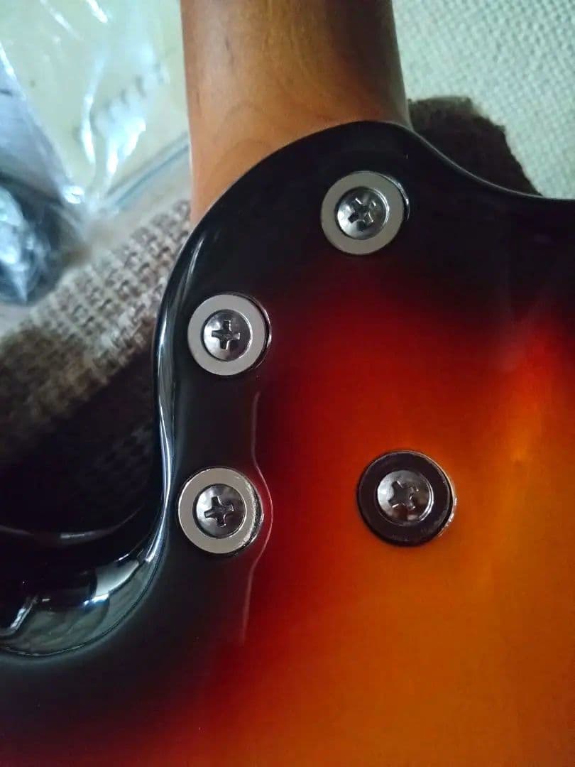 Bacchus GS-2DX RSM/R ステンレスフレット 美品
