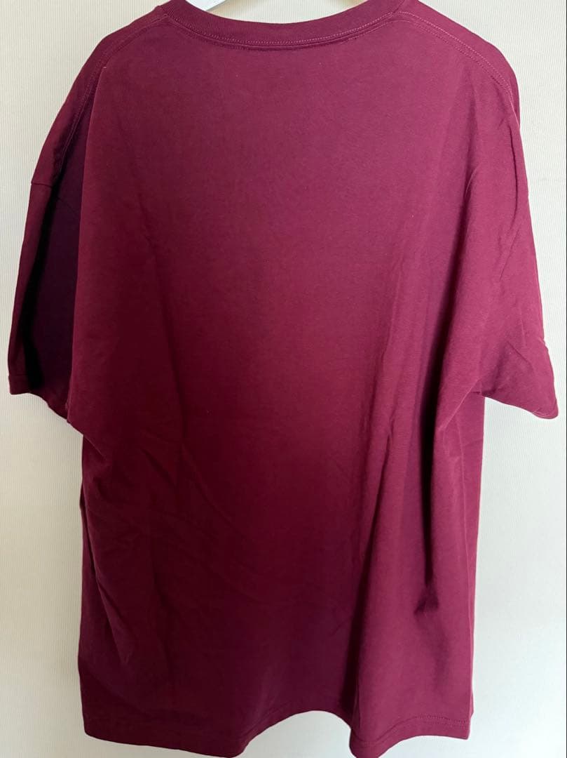SAMURAI CHAMPLOO × GEEKS RULE Tシャツ　XXL