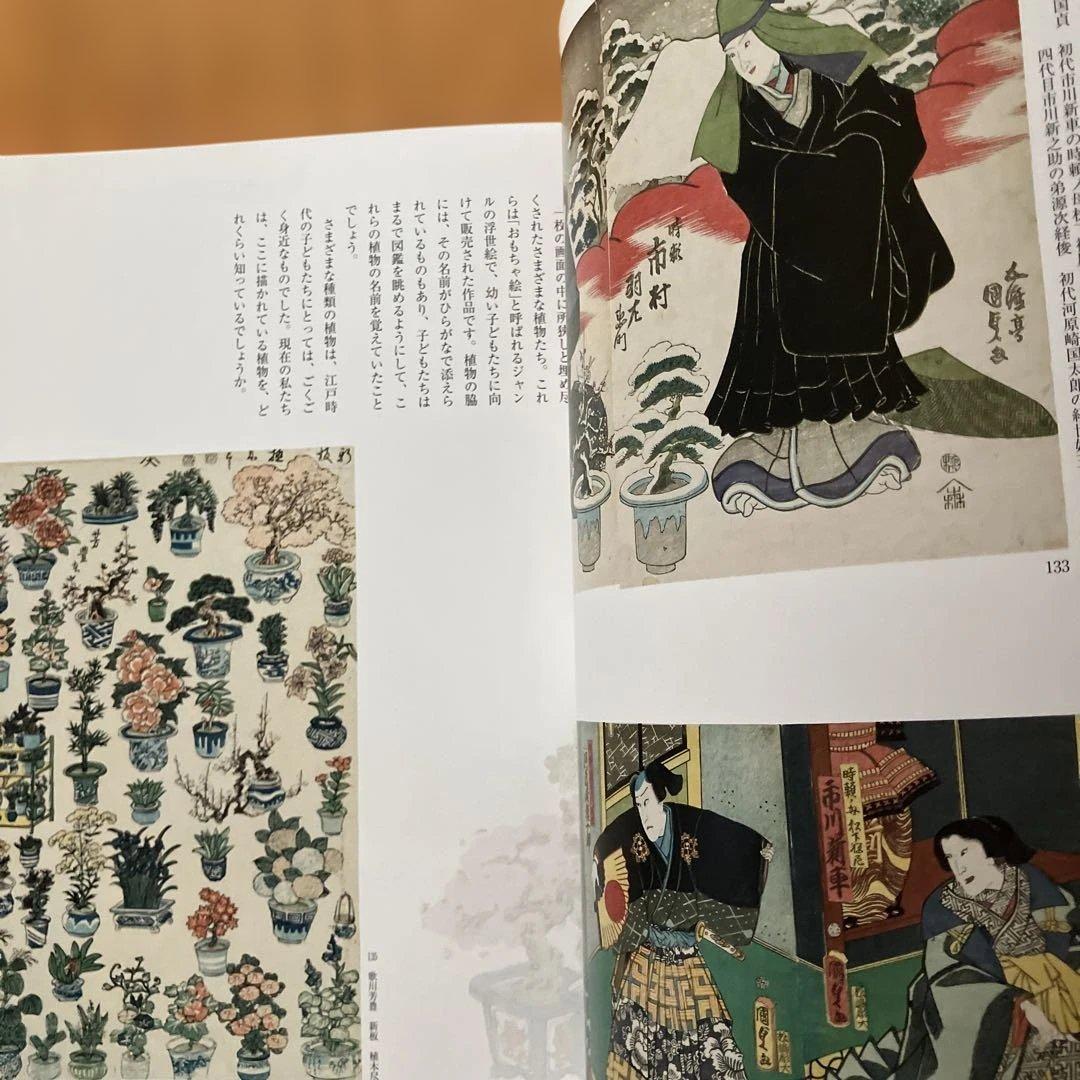江戸園芸花尽し 特別展図録