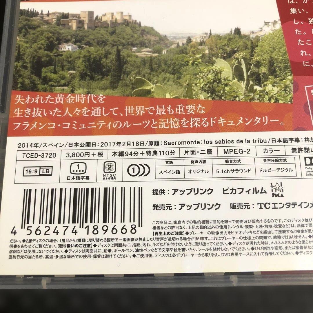 サクロモンテの丘 ロマの洞窟フラメンコ('14スペイン)