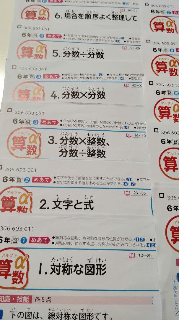 最新版　カラーテスト　漢字テスト社会　小6　新学社　令和6年度　啓林館