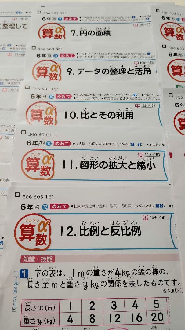 最新版　カラーテスト　漢字テスト社会　小6　新学社　令和6年度　啓林館