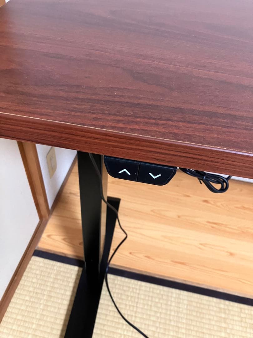 （組み立て不要）【FLEXISPOT】電動昇降式デスク《たのめる便にて配送》