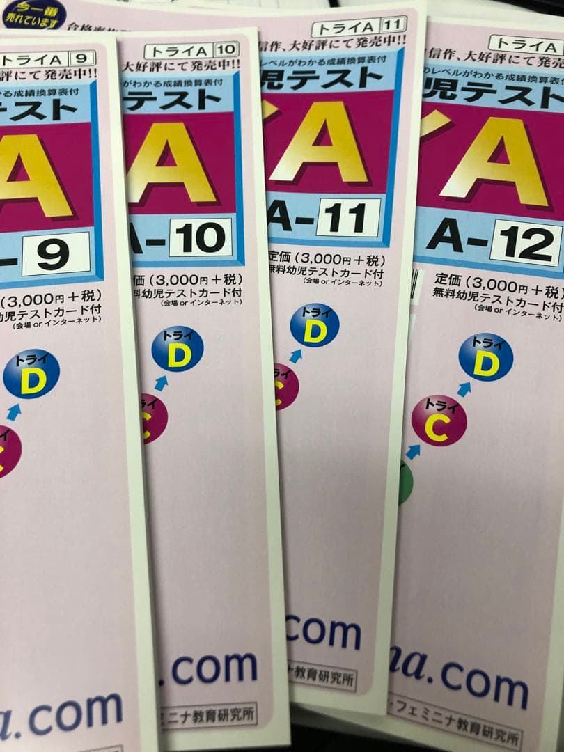 カーサ・フェミニナ　小学校受験　幼児テスト　トライA 1〜12 書き込み/解答無
