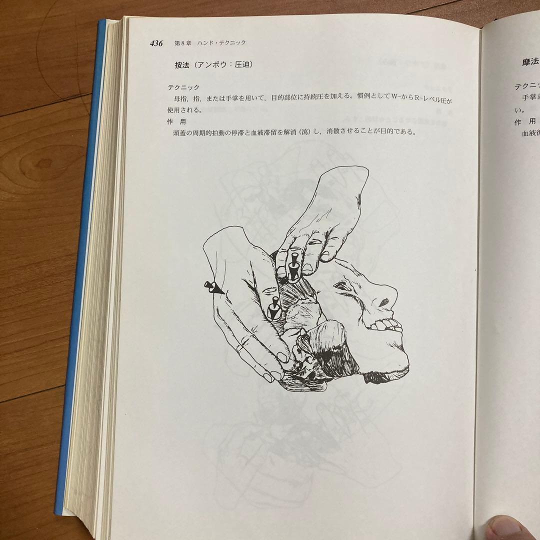 頭蓋縫合