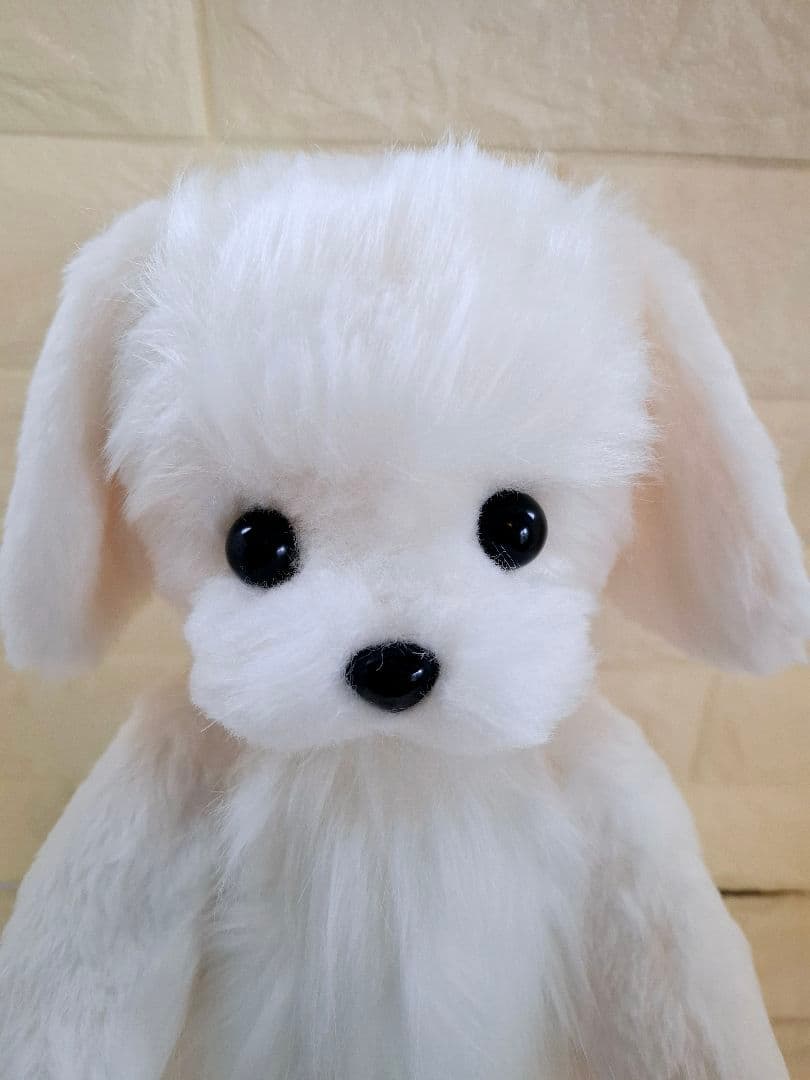 19.ぬいぐるみ、テディマルチーズ、犬、ハンドメイド、オリジナル、特大、