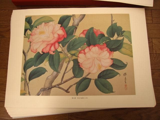 瑞月草花画譜　池田瑞月　限定700部