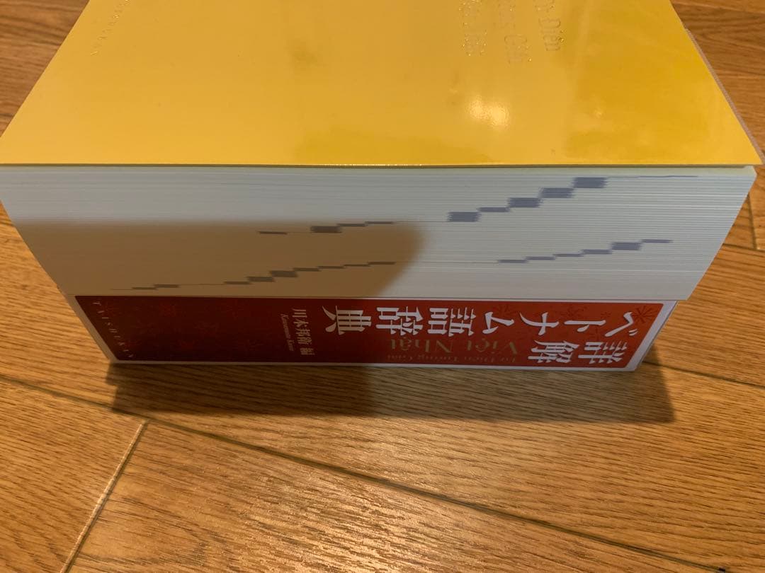 詳解ベトナム語辞典 川本邦衛 編　美品