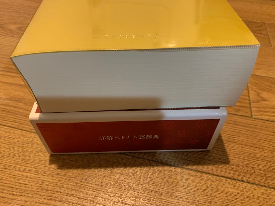 詳解ベトナム語辞典 川本邦衛 編　美品