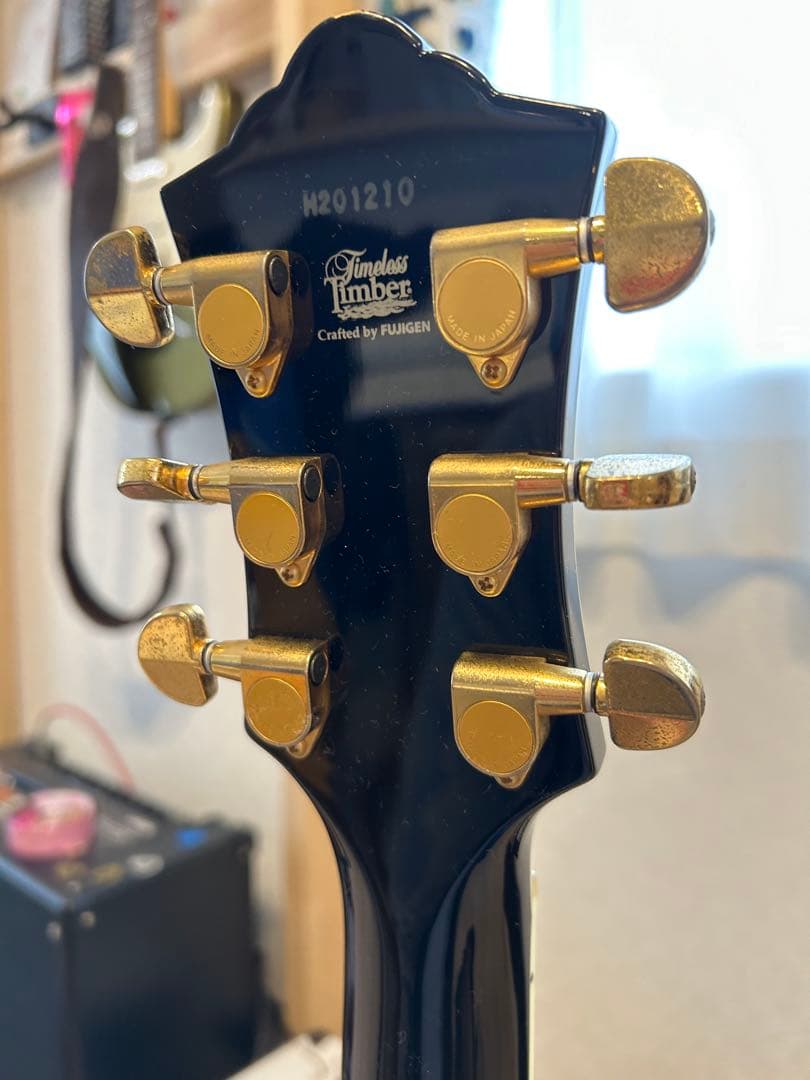 【FgN】フジゲン BAT-20CT/TTハードケース付き