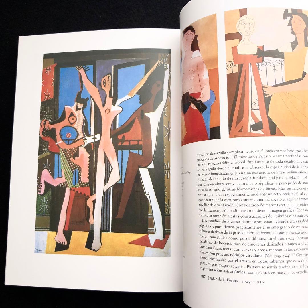 パブロ・ピカソ 画集「Pablo Picasso 1881-1973」2冊組揃
