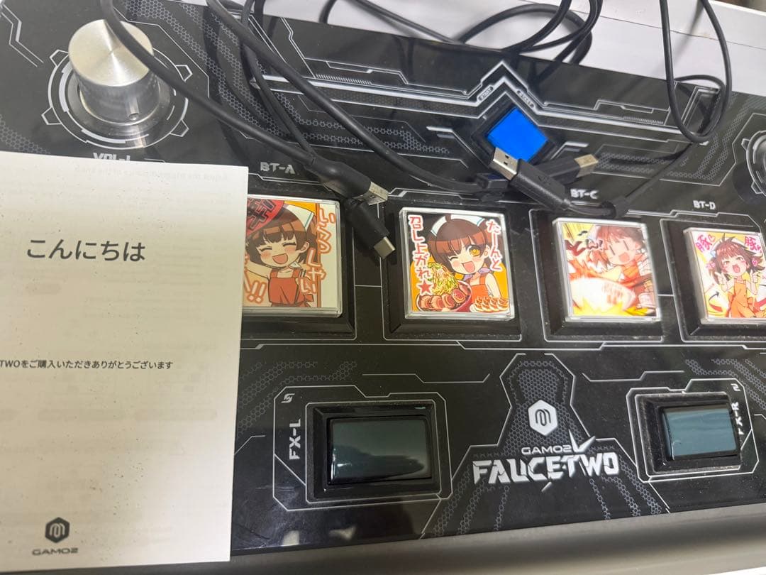 FAUCETWO EGskin1st 三和ボタン マイクロスイッチ付き