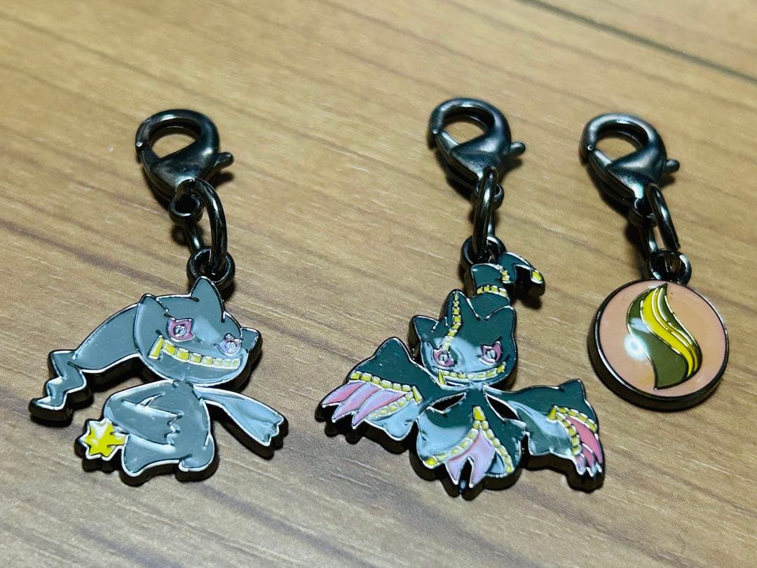 ポケモン メタルチャーム メガシンカ