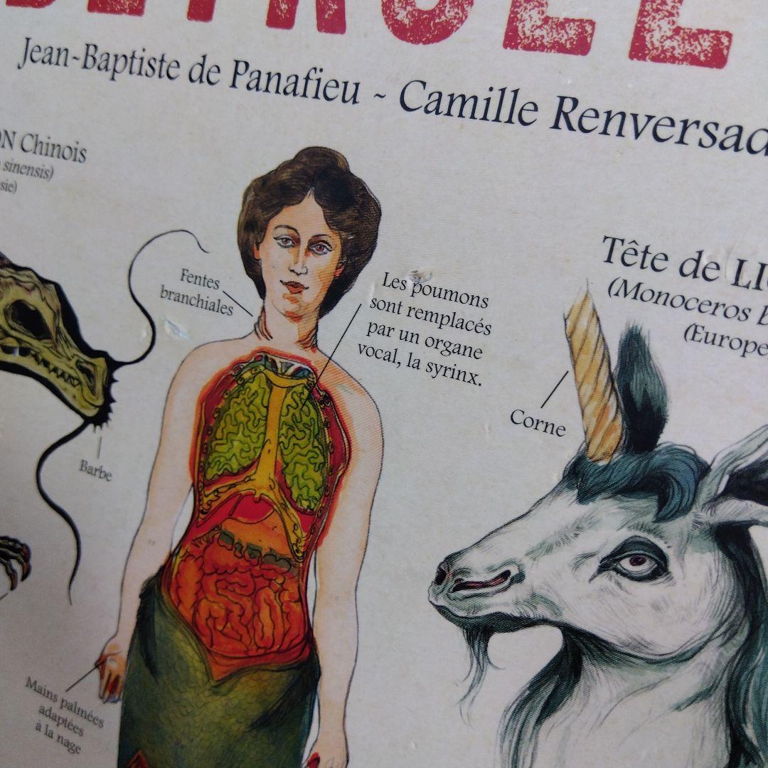 Créatures fantastiques 　DEYROLLE