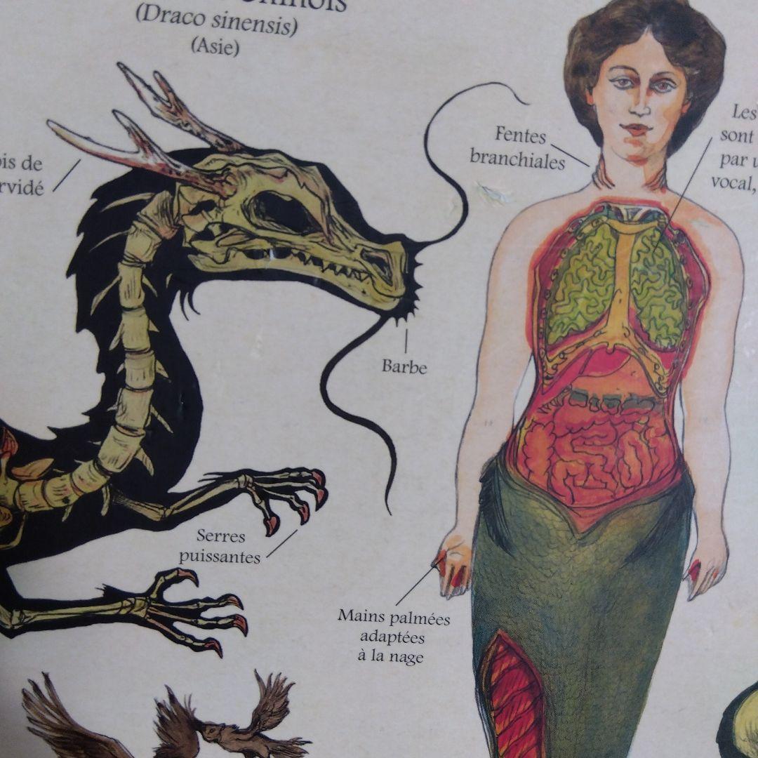 Créatures fantastiques 　DEYROLLE