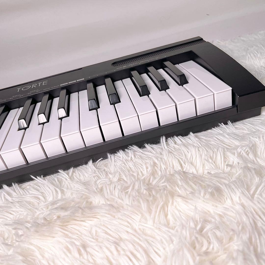【良品】TGRTE TSDK-61 電子キーボード 61鍵盤 マイク付き