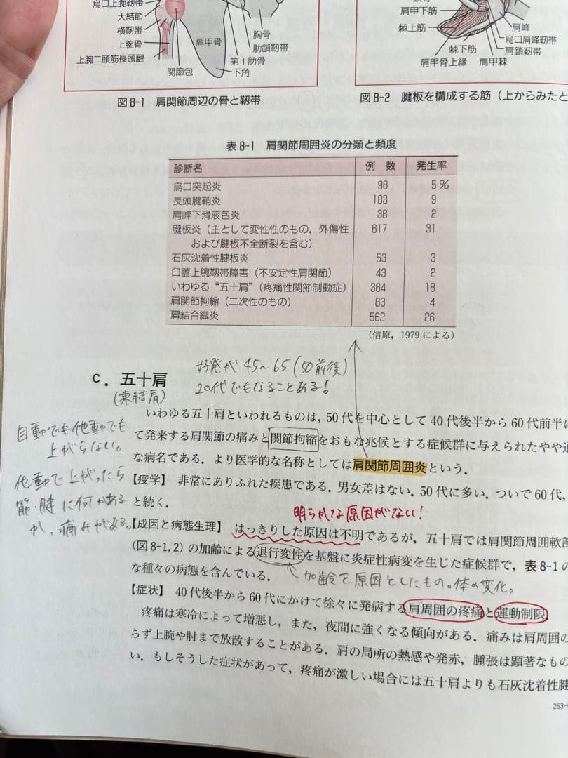臨床医学名論・経穴経絡概論・はりきゅう理論・生理解剖学などの専門書 (個別売り可