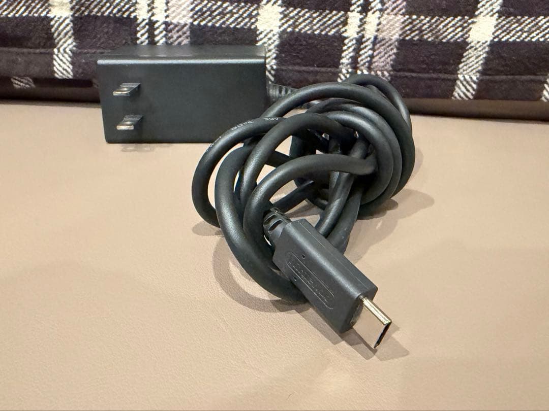 Nintendo　Switchライト　ターコイズ　本体　充電器　ケース