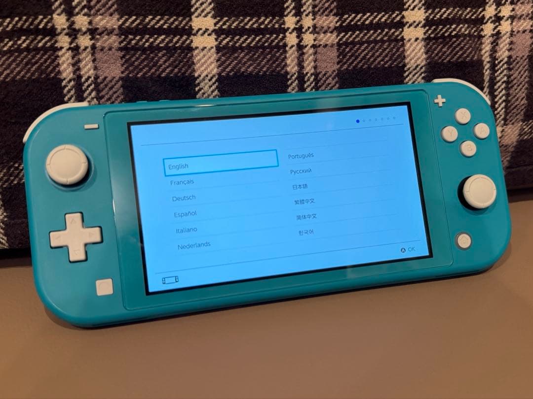 Nintendo　Switchライト　ターコイズ　本体　充電器　ケース