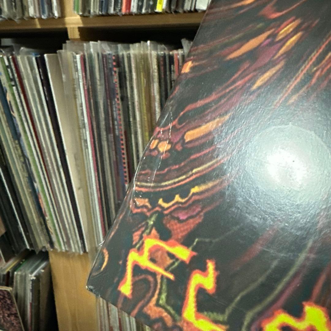 The Fuzztones Flashbacks レコード