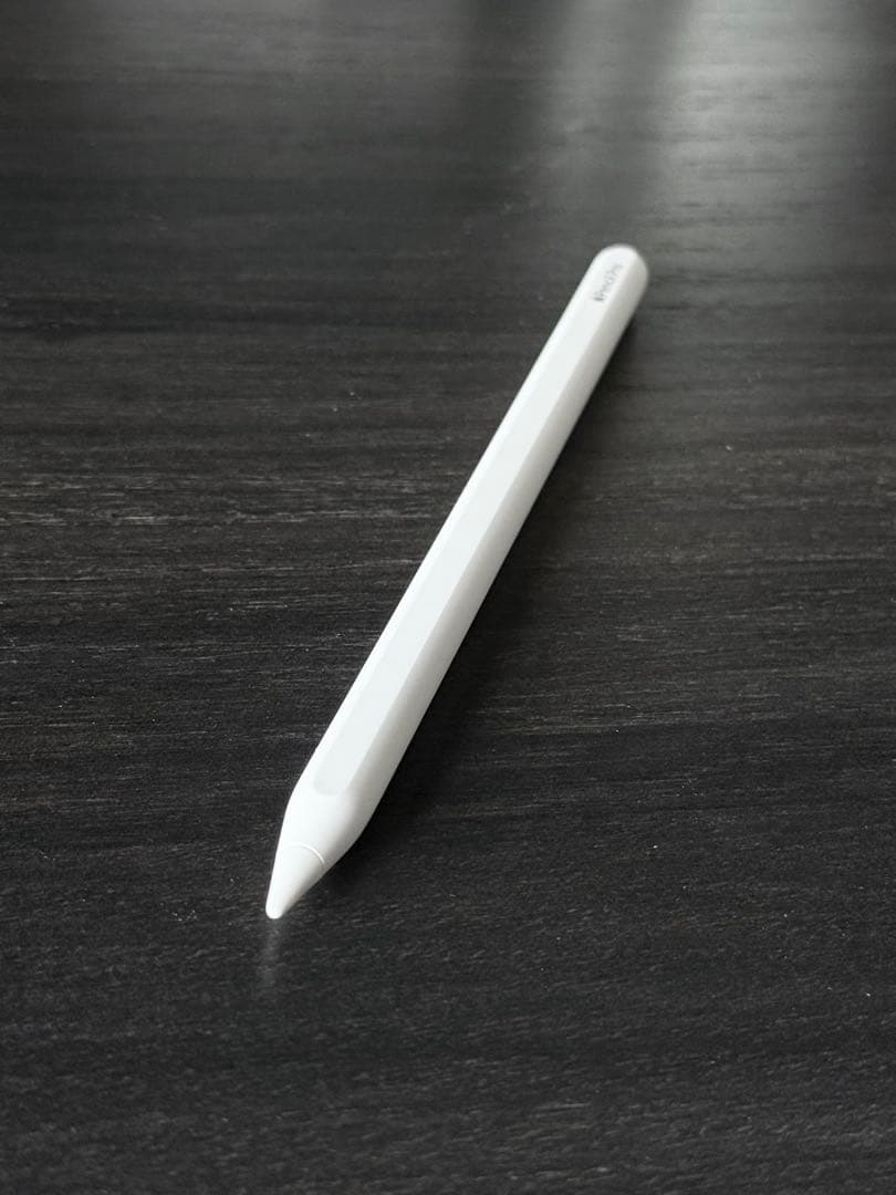 美品　Apple保証付き　2025年5月購入品　Apple Pencil Pro
