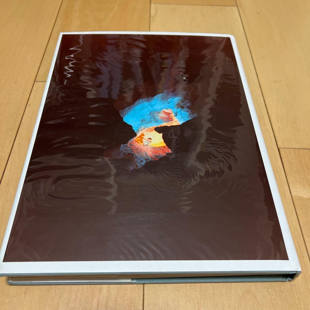 You and I Ryan Mcginleyライアンマッギンレー写真集